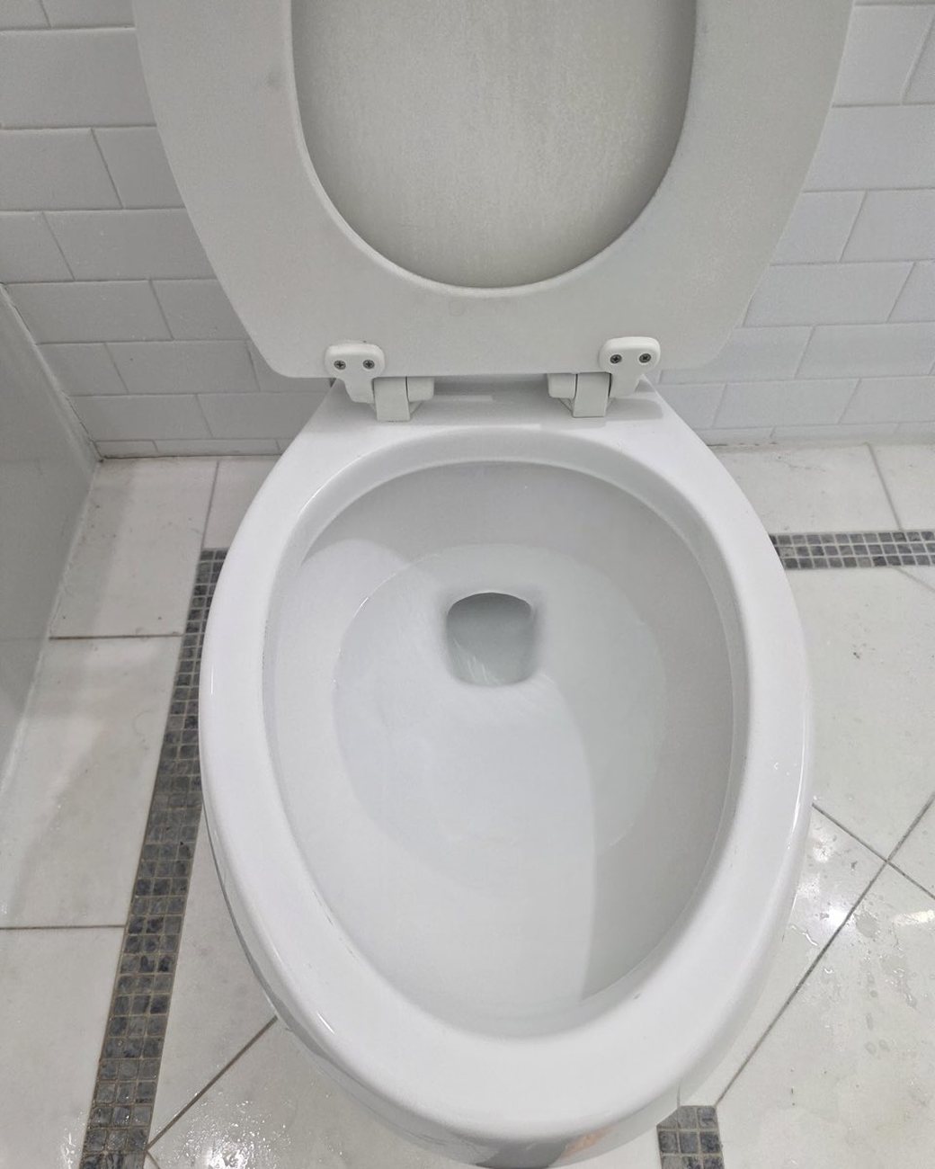 Toilet after deep cleaning, spotless