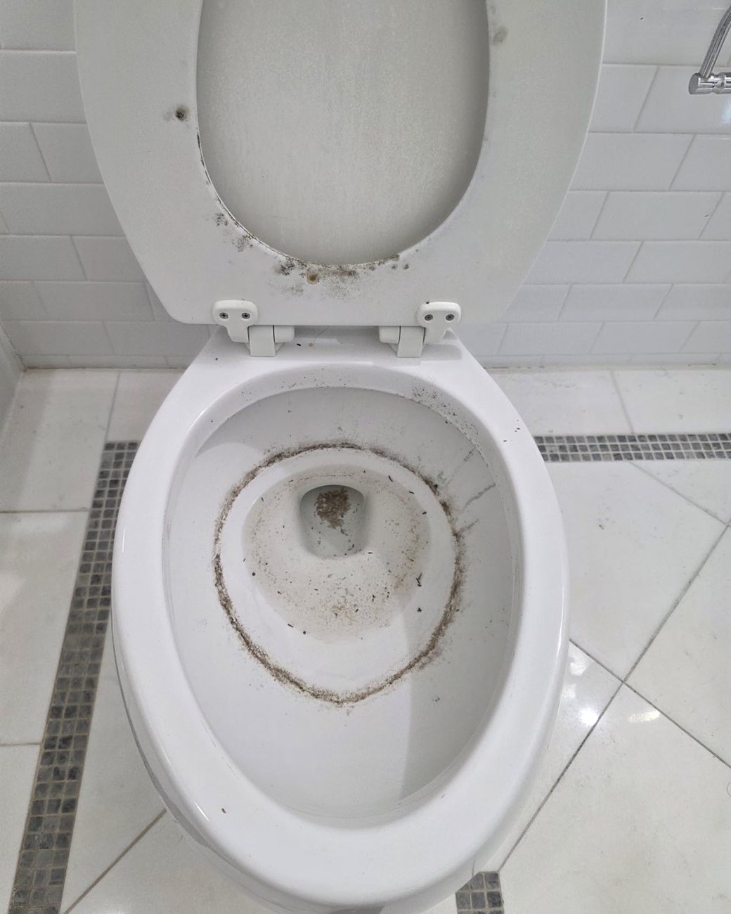 Toilet before cleaning, stained bowl